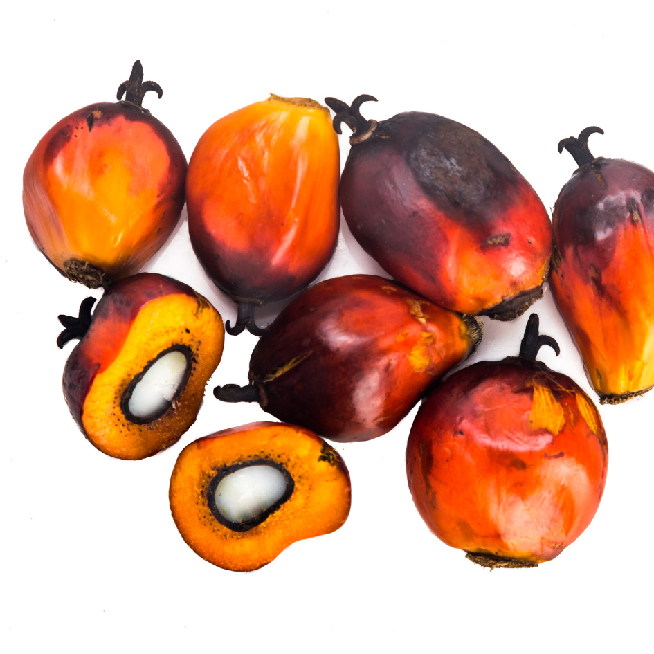 Palm Oil
